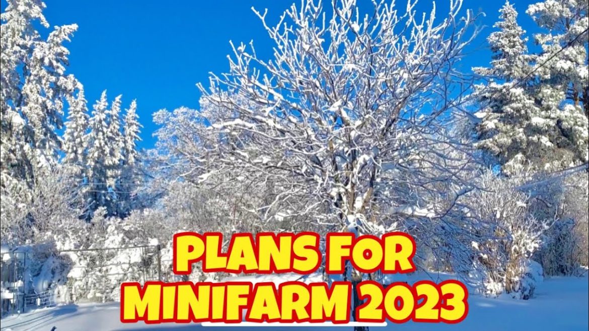 New plans for Minifarm 2023 | 🌸🥬🍎