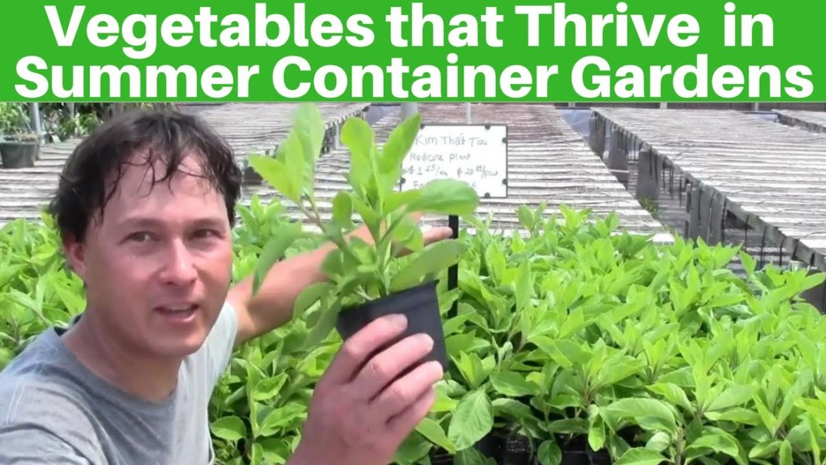Vegetables that Thrive in Container Gardens During the Summer Growing Season Vegetables that Thrive in Container Gardens During the Summer Growing Season