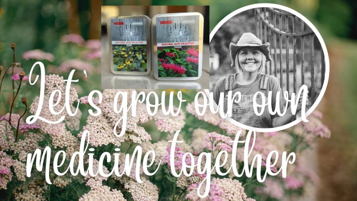 LET’S GROW OUR OWN MEDICINE TOGETHER!