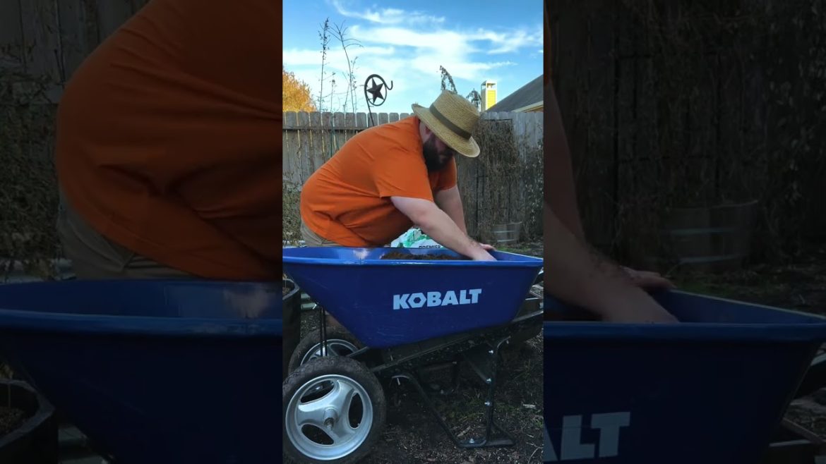 How To Make A Good Potting Soil Mix