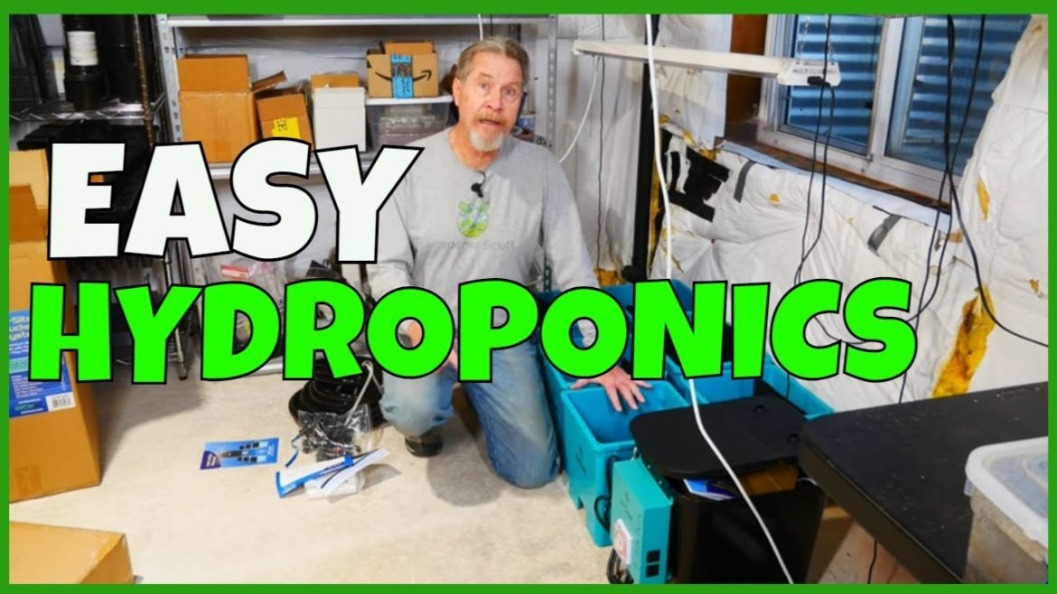 Ebb & Flow Hydroponics (Unboxing AirCube) Ebb & Flow Hydroponics (Unboxing AirCube)