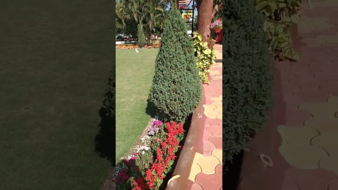 Ash front yard garden bed makeover | amazing garden ideas | Ash landscaping ideas | diy garden ideas