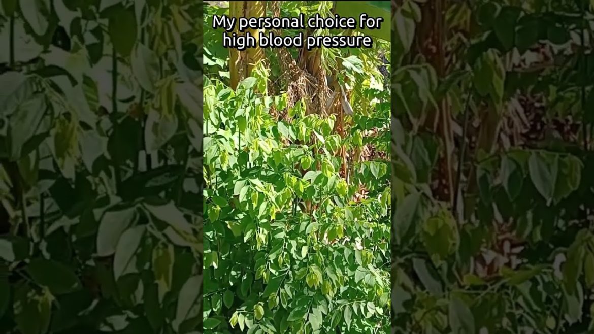 #shorts Add This Plant To Your Edible Landscape # 4 of 9