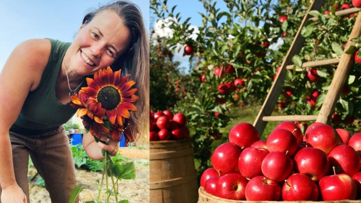 ABUNDANT FREE FOOD FOREST (Ep 8) ABUNDANT FREE FOOD FOREST (Ep 8)