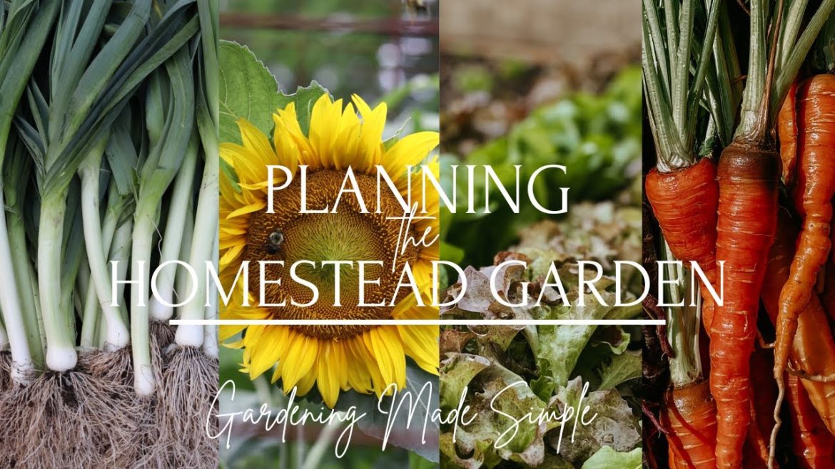 How to Start a Garden in 2023 | Mini Garden Tour | Food Security How to Start a Garden in 2023 | Mini Garden Tour | Food Security