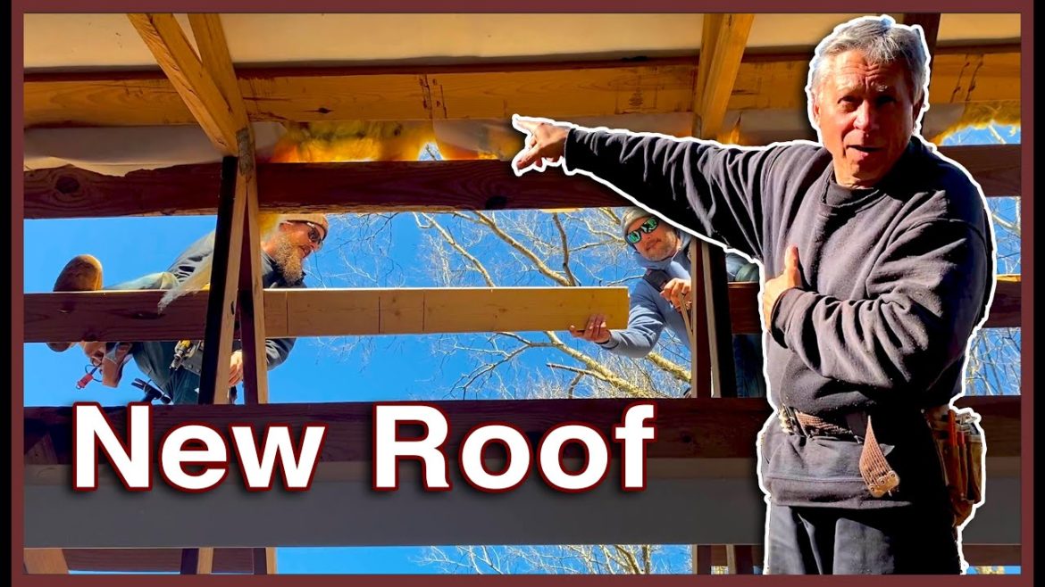 WHY it HAD to be done | Day 1, Part 1