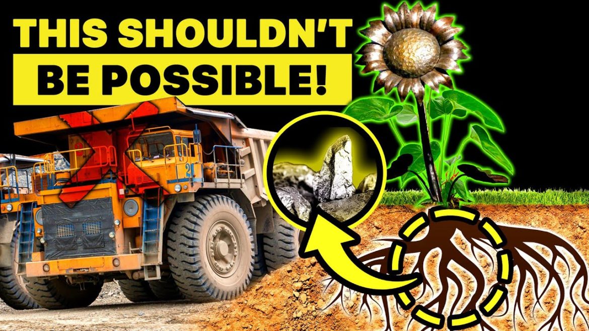 Farming This Crop Can Fix Supply Shortages & Inflation! Farming This Crop Can Fix Supply Shortages & Inflation!