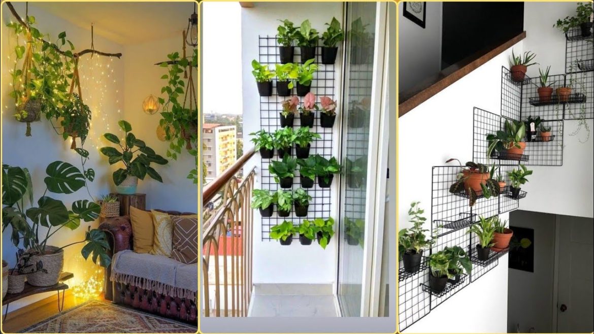 HOME DECOR LATEST WALL PLANT DESIGNS 2023 || WALL GARDENING IDEAS || WALL PLANT DECORATION IDEAS
