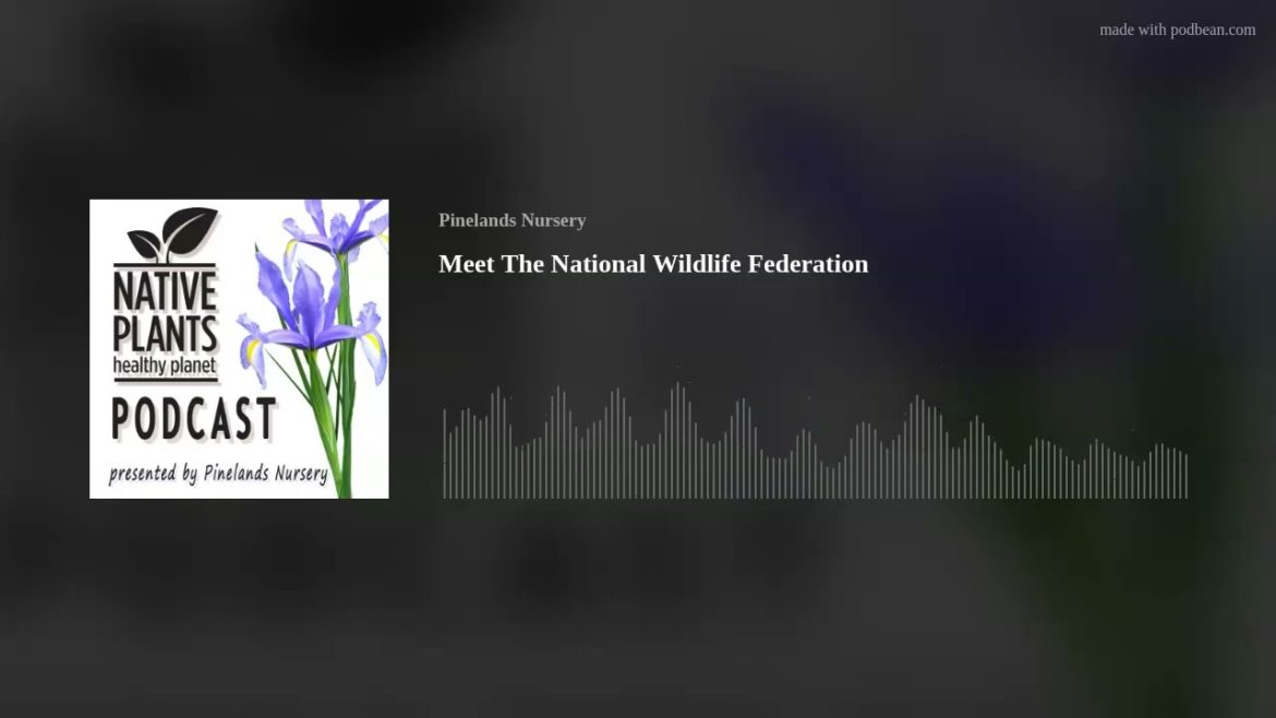 Meet The National Wildlife Federation