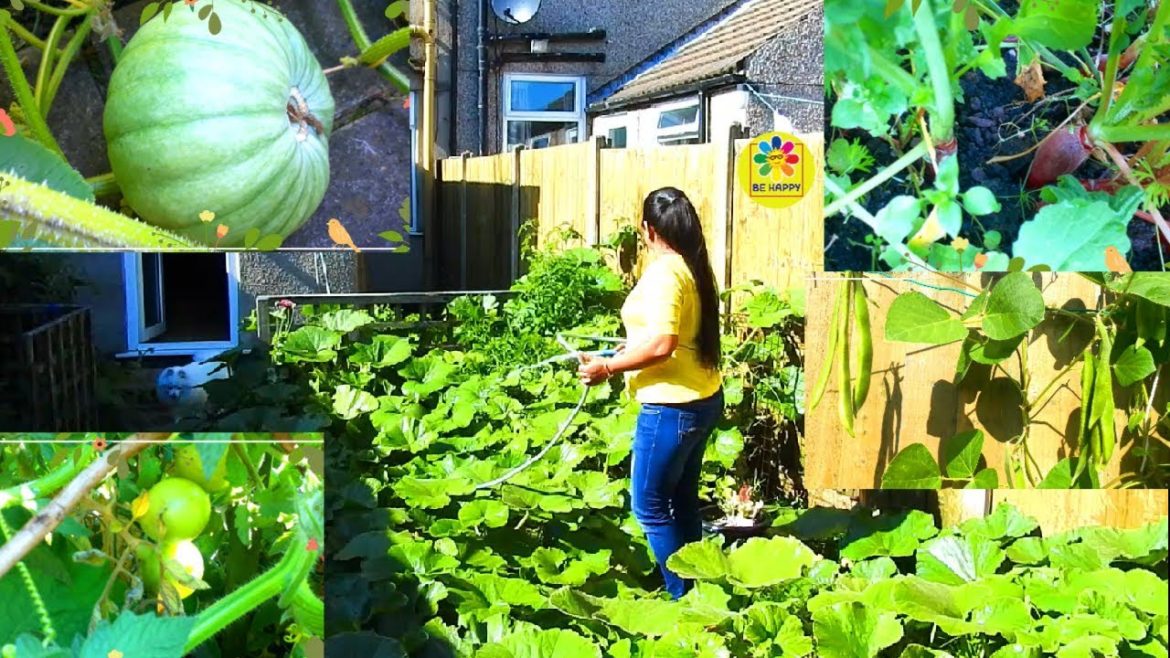 My Vegetable Gardening | My Kitchen Garden Tour | GARDEN MONSTERS