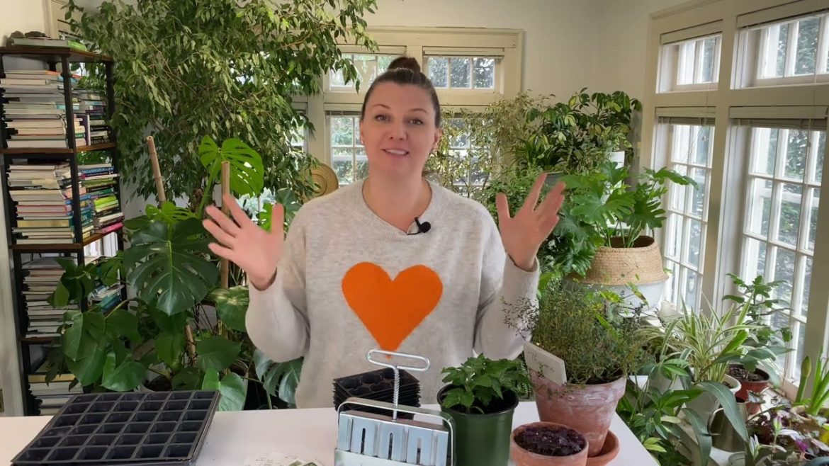 π± 8 Ways to Start Seeds – How to Start Seeds π± π± 8 Ways to Start Seeds - How to Start Seeds π±