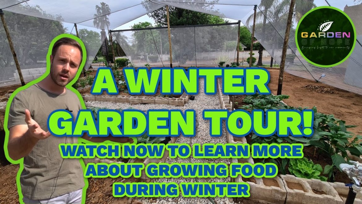 Vegetable Gardening Ideas For Winter | Vegetable Garden Tour 2021