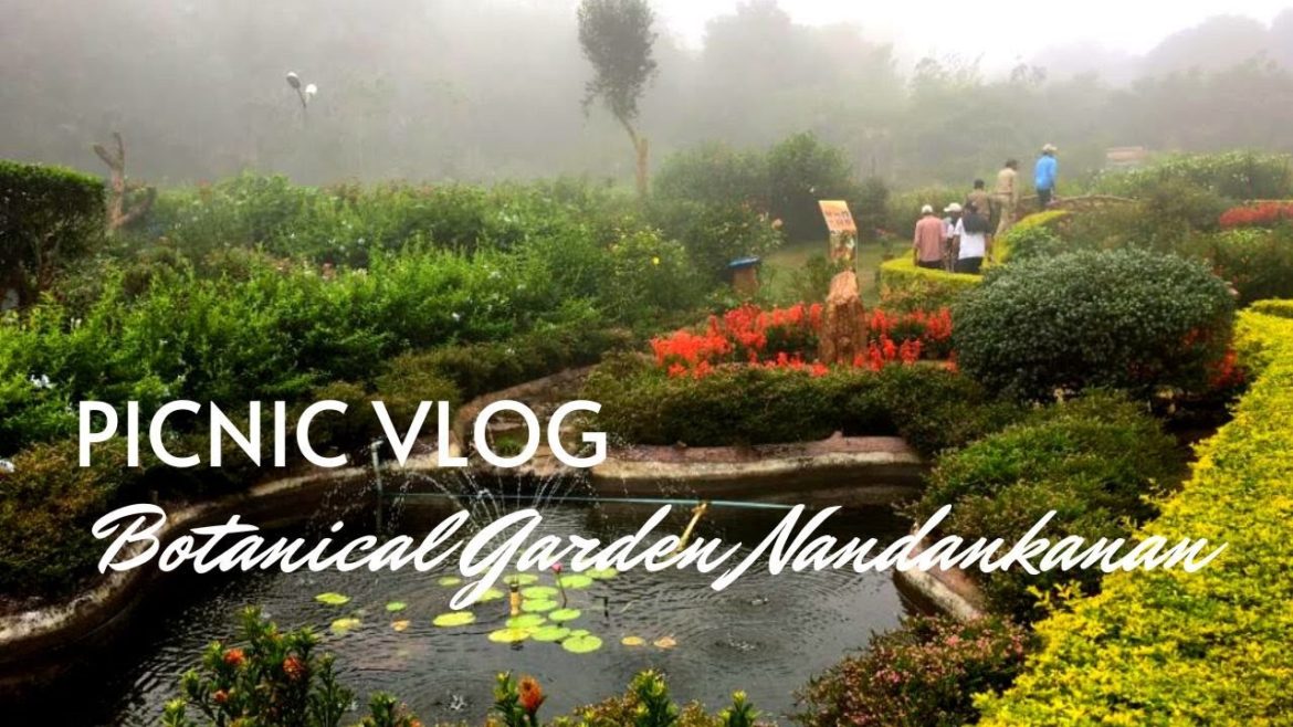 Botanical Garden Nandan Kanan ||Butterfly park| Green House