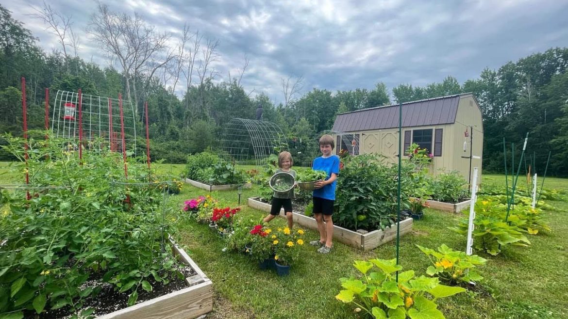 Seed Haul from MiGardener & Amazon Garden Supplies Seed Haul from MiGardener & Amazon Garden Supplies