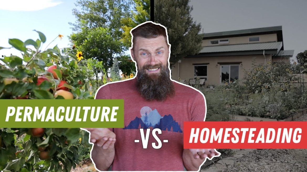 The secret to a recession-proof life! The secret to a recession-proof life!