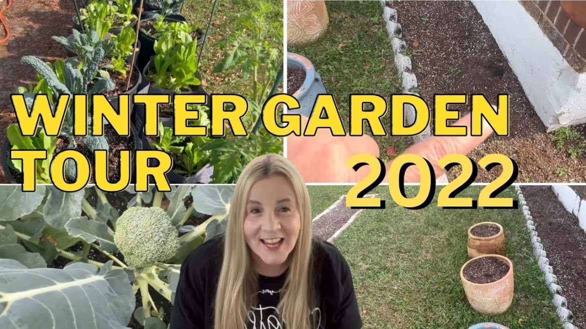 Winter Garden Tour Zone 9b. How to Grow a lot in a Small Urban Garden