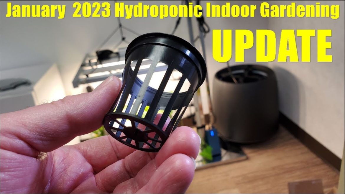 2023 JANUARY UPDATE ON HYDROPONIC INDOOR GARDENING PART 1