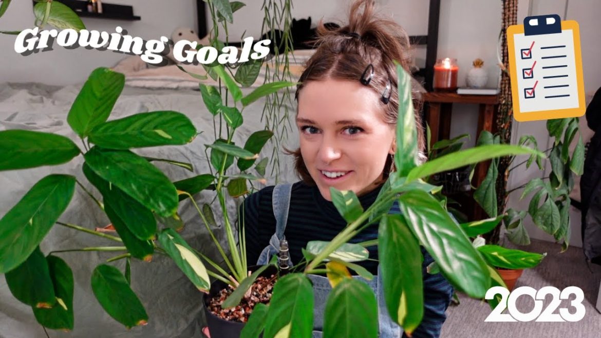10 plants I want to work on this year 💖 [my plant growing goals for 2023]