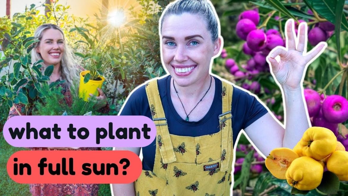 22 HEAT tolerant EDIBLE PLANTS for full sun ☀️🌳 EASY to grow food!