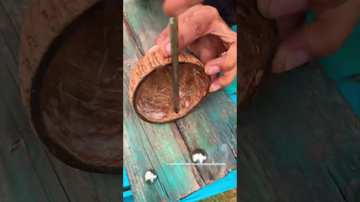 Creative garden idea using coconut shell #shorts #diyideas #shortsart #shortscraft #gardenideas Creative garden idea using coconut shell #shorts #diyideas #shortsart #shortscraft #gardenideas