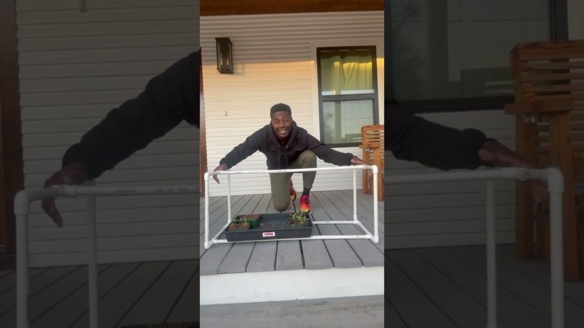 This Easy DIY Seed Starting Light Stand is a Must-Have for all Gardners This Easy DIY Seed Starting Light Stand is a Must-Have for all Gardners