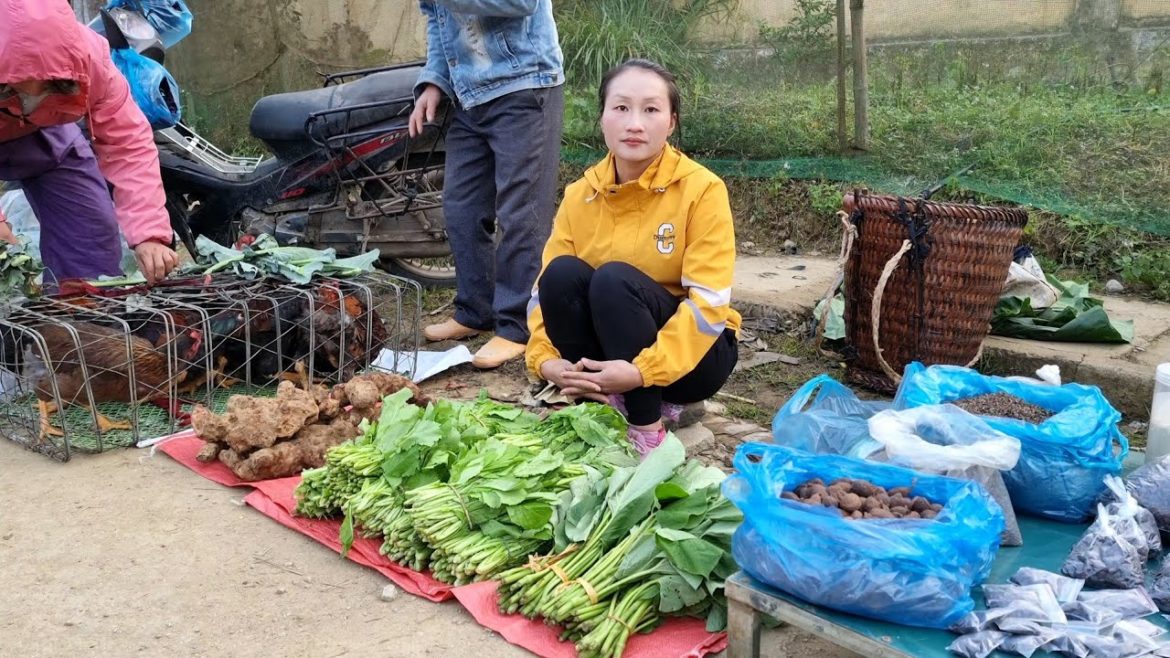 Go to the market to sell Vegetables, Tuber, forest leaves & take care of pets.