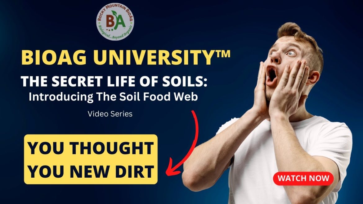 The Secret Life of Soils: Introducing the Soil Food Web | BioAg University™