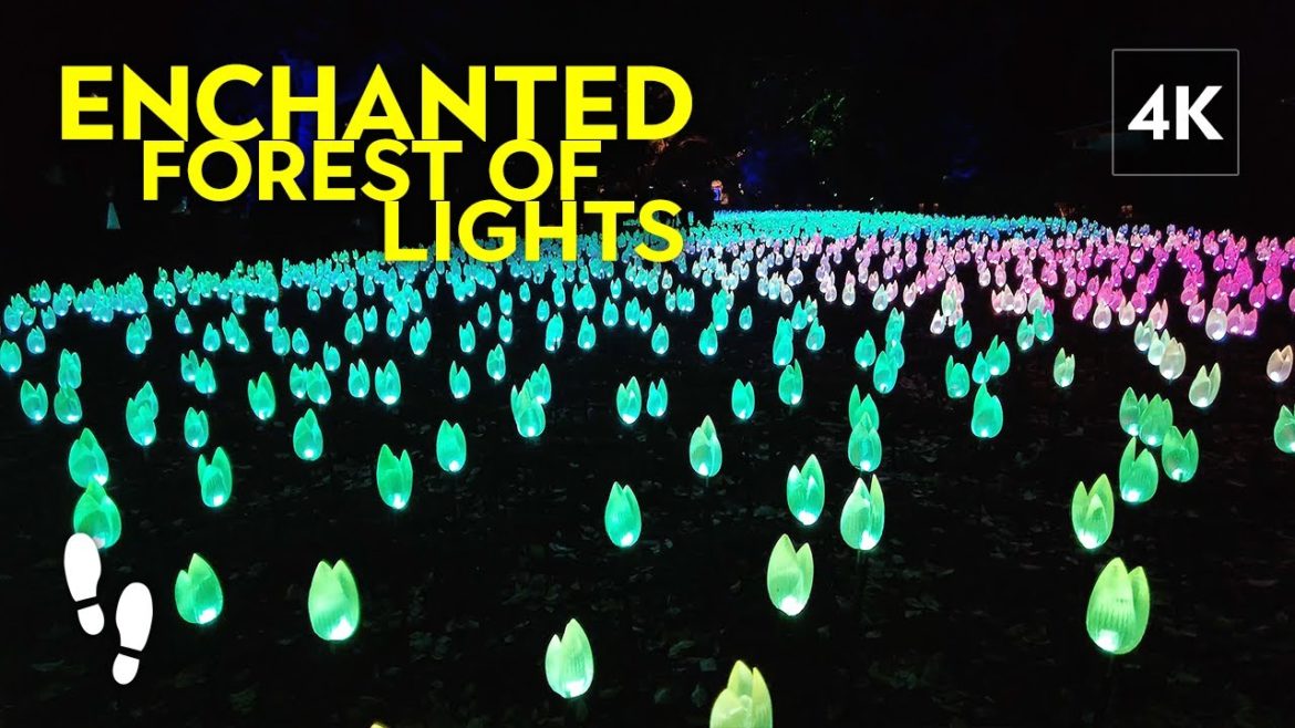 Exploring the Enchanted Forest of Light | Descanso Gardens Walk [4K]