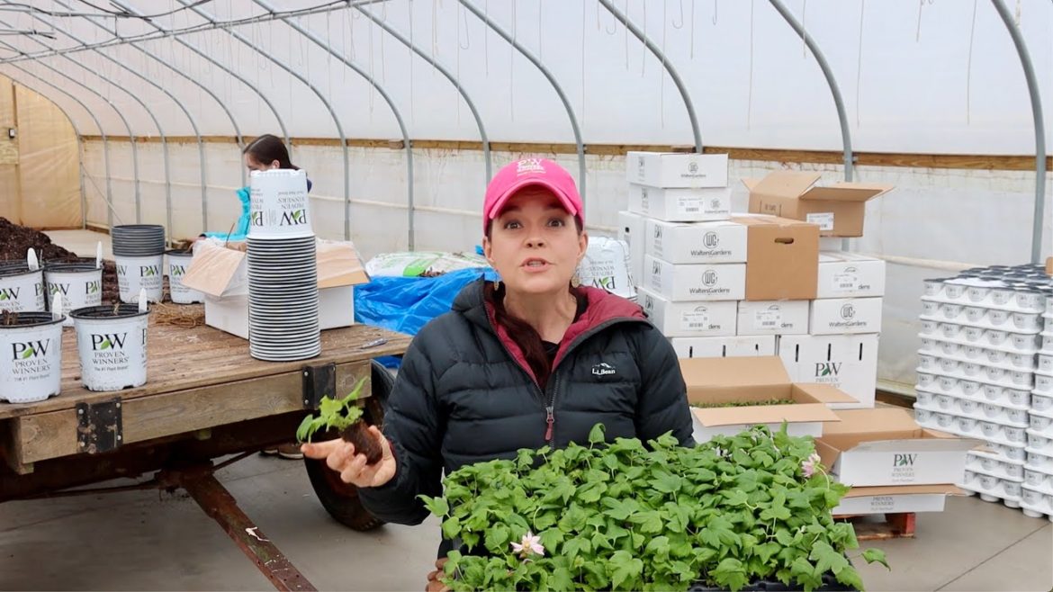 New Plants Arrive! The 2023 Season Has Begun | Gardening with Creekside New Plants Arrive! The 2023 Season Has Begun | Gardening with Creekside