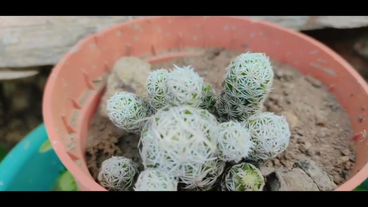 most beautiful gardens in the world most beautiful gardens in the world