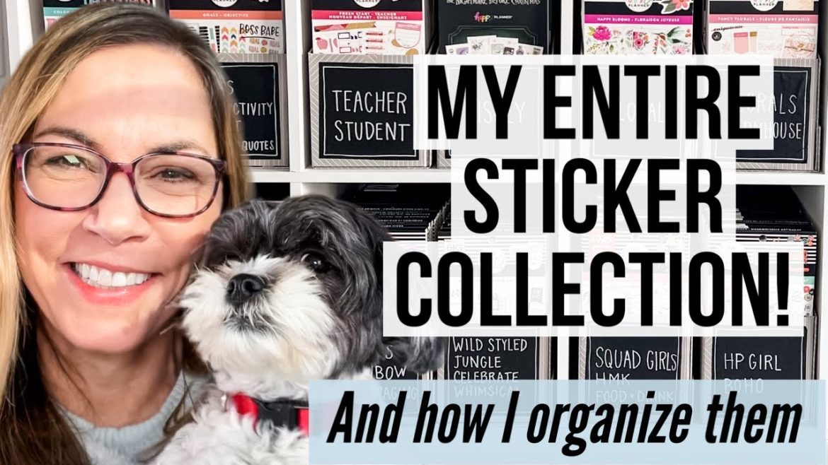 My Entire Planner Sticker Collection + How I Store & Categorize All of Them! Sticker Storage Ideas