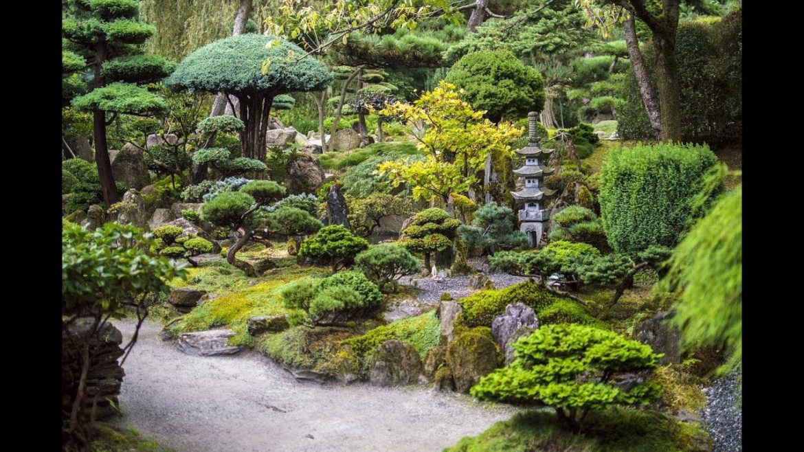 Japanese Garden Ambience – 30 minutes Japanese Garden Ambience - 30 minutes