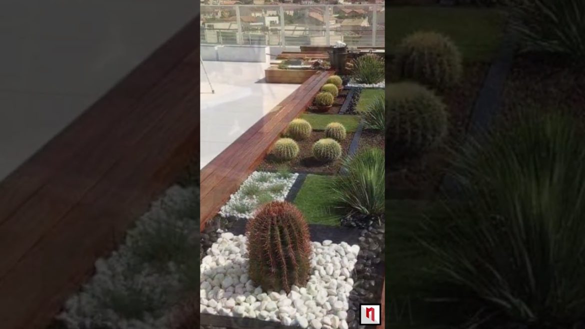 Landscaping ideas for luxury home rooftop | garden idea | garden design | Tamil Construction #shorts