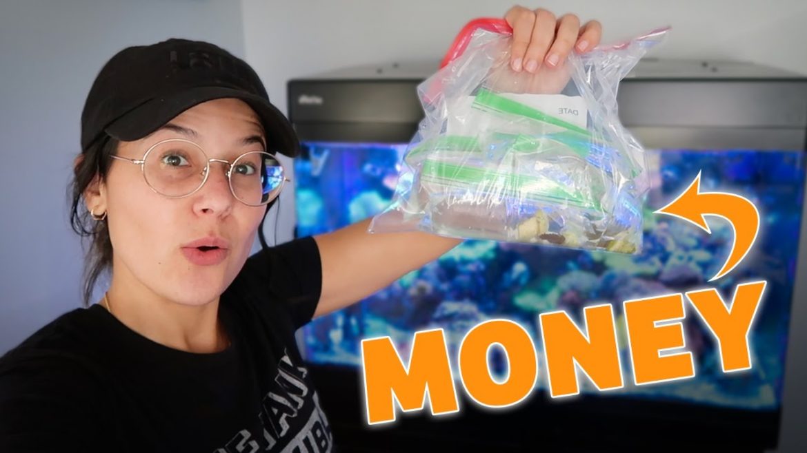 My $1,150 Acro Garden Is on Another LEVEL!! My $1,150 Acro Garden Is on Another LEVEL!!