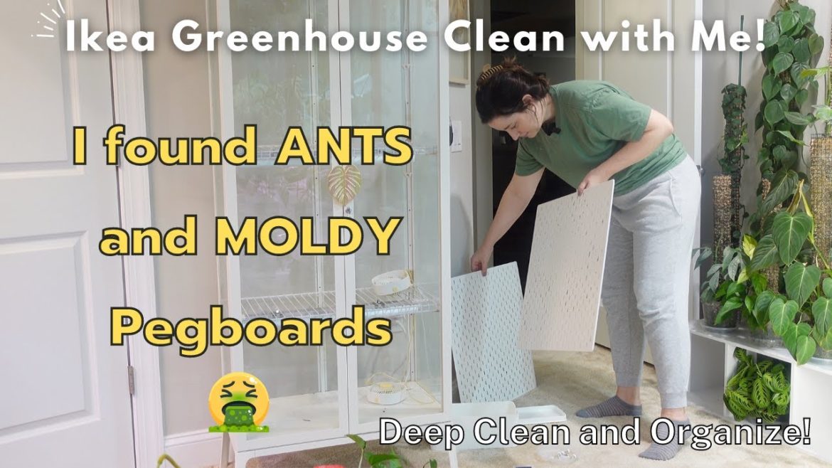 IKEA Greenhouse Milsbo Tall Cabinet DEEP CLEANOUT | 8 Month Update IKEA Greenhouse Milsbo Tall Cabinet DEEP CLEANOUT | 8 Month Update