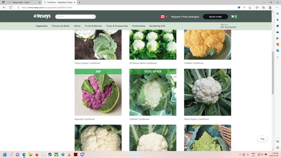 Vessey's seed shopping.. Lets see what to plant this year