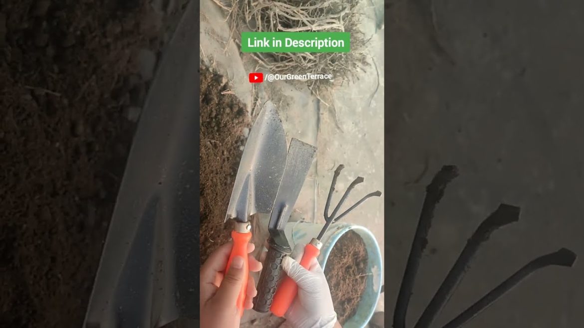 Best and Must Garden Tools and Equipment for Terrace Garden
