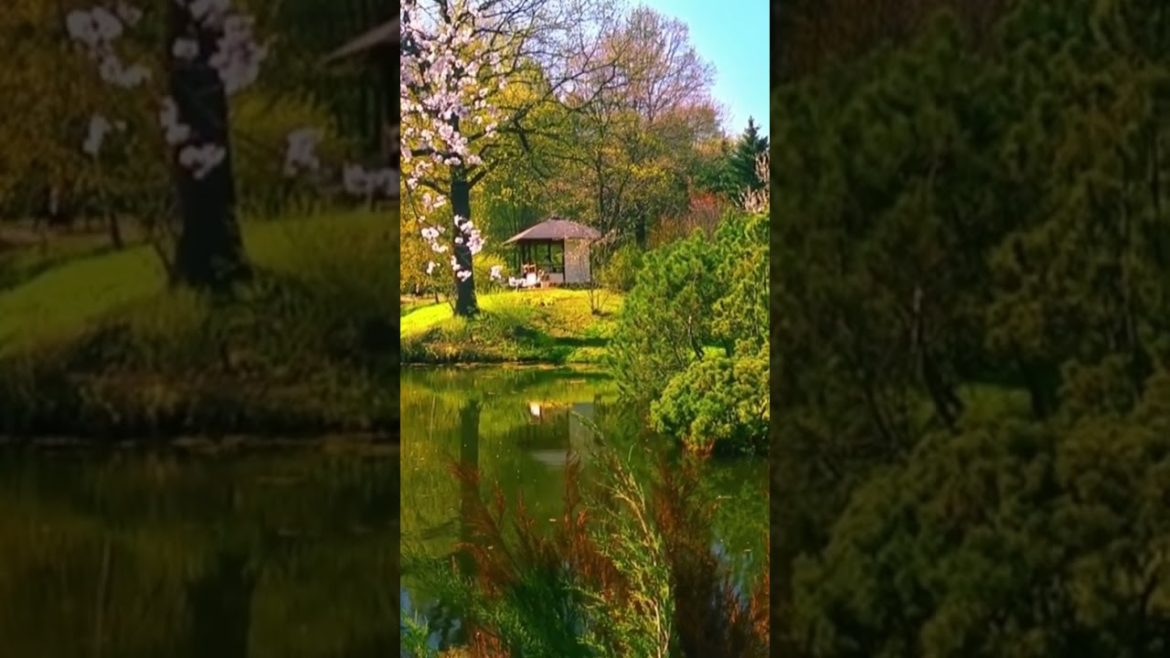 Japanese Garden Meditation Sound for Relaxation and Mindfulness