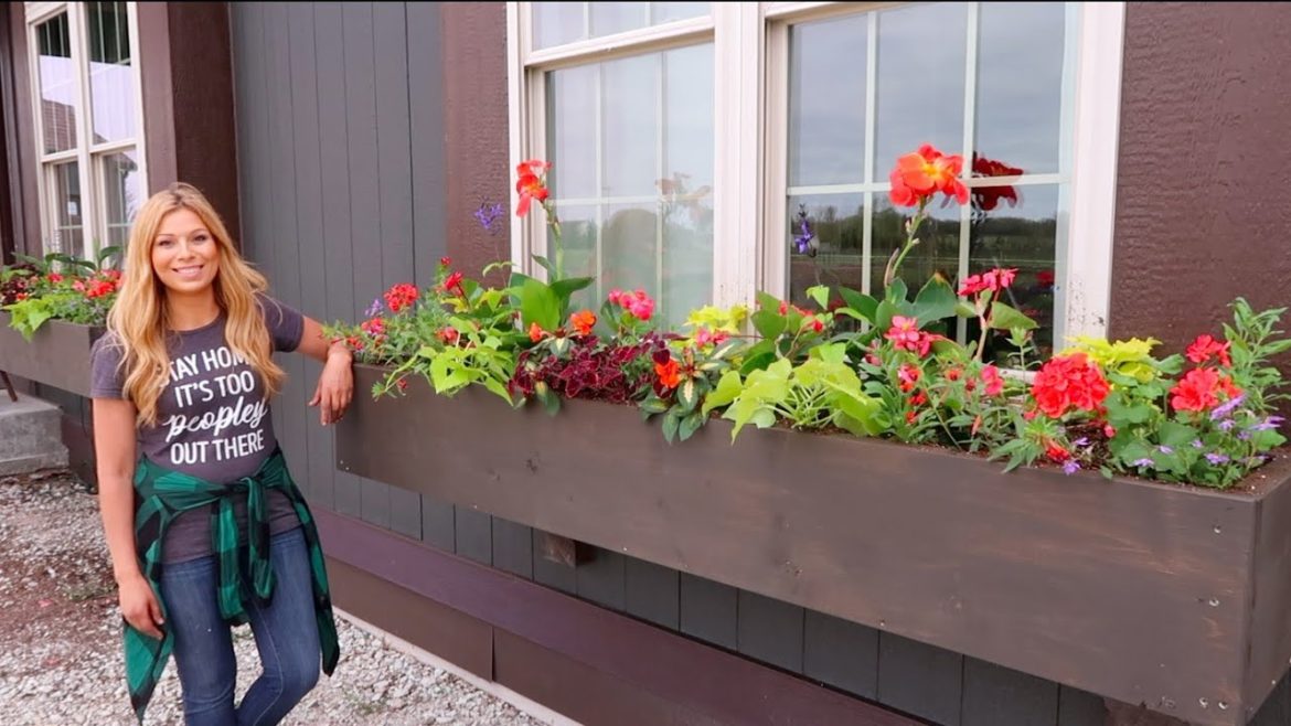 Our NEW, VIBRANT Window Box Recipe for 2020 | Container Gardening | Full Sun/Part Sun // Garden Farm Our NEW, VIBRANT Window Box Recipe for 2020 | Container Gardening | Full Sun/Part Sun // Garden Farm