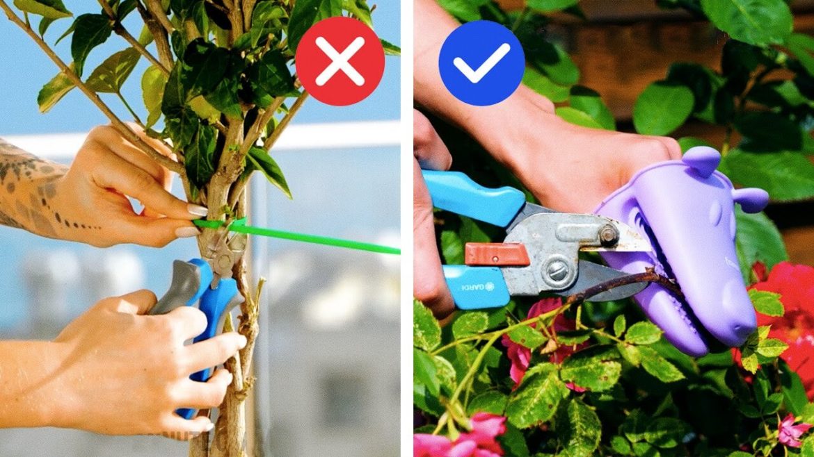 BEST KEPT GARDENING SECRETS THAT WILL BLOW YOUR MIND BEST KEPT GARDENING SECRETS THAT WILL BLOW YOUR MIND