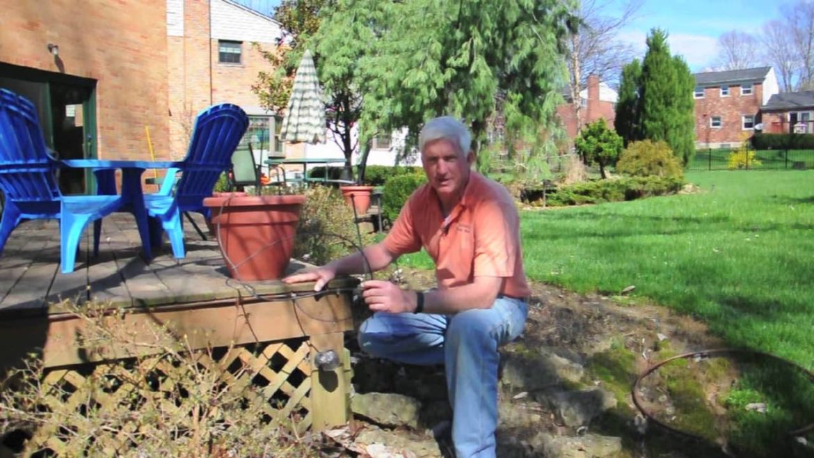 Make Container Gardening Easy with Drip Irrigation