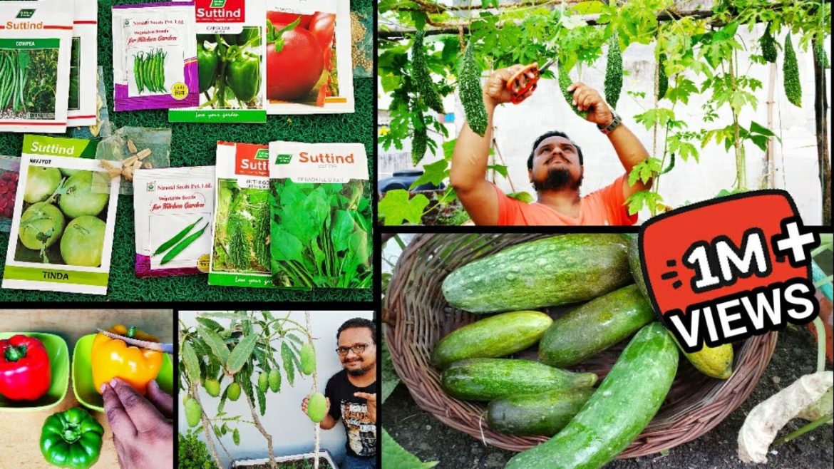 Gamle Me Ugaiye Ye 15 Vegetables Aur Fruits ~ Vegetables and FruitsTo Grow In Pot ~ With Updates Gamle Me Ugaiye Ye 15 Vegetables Aur Fruits ~ Vegetables and FruitsTo Grow In Pot ~ With Updates