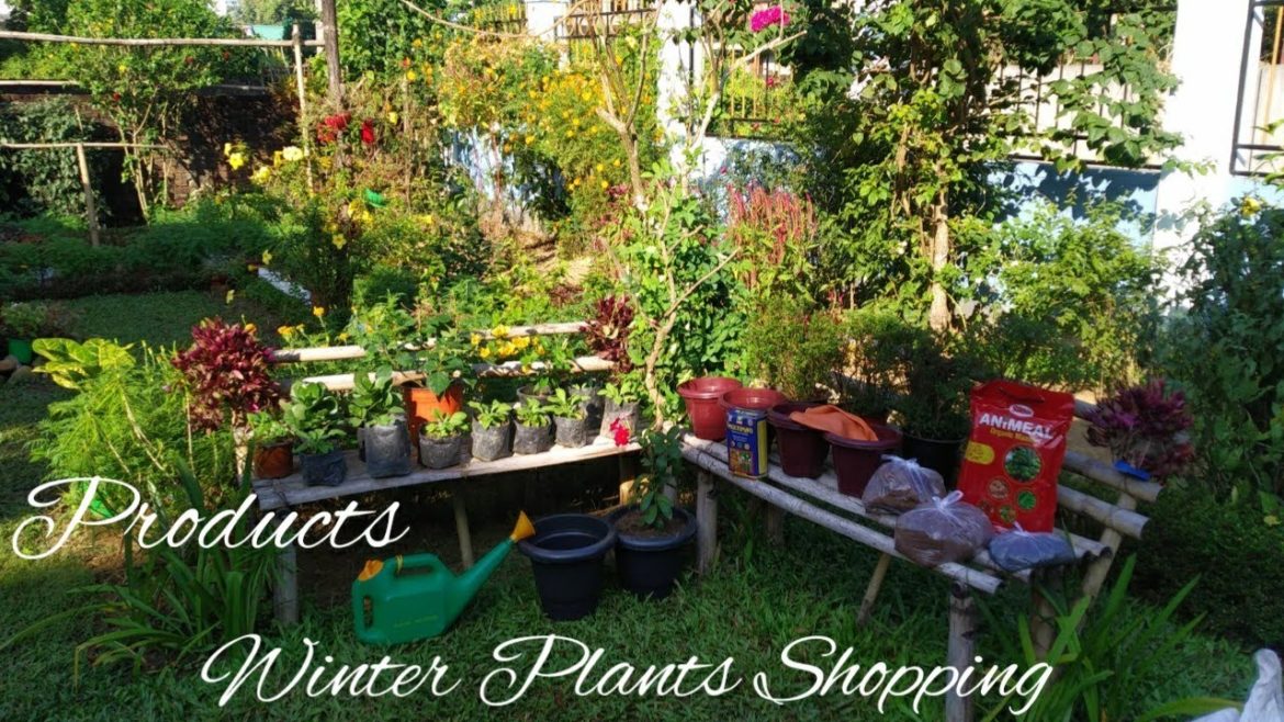 Winter flowering plants shopping haul // Purchased some useful gardening products for winter garden