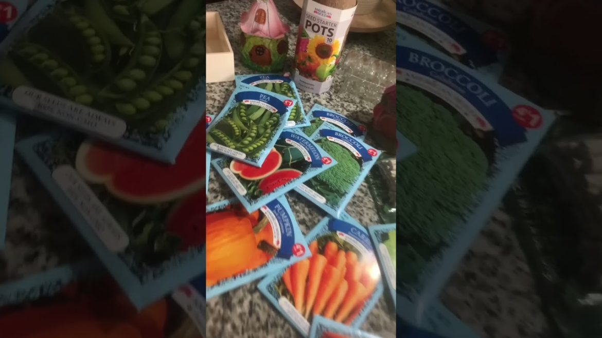 Had to make a quick Dollar Tree seed run😉 #shorts #gardening #trending Had to make a quick Dollar Tree seed run😉 #shorts #gardening #trending