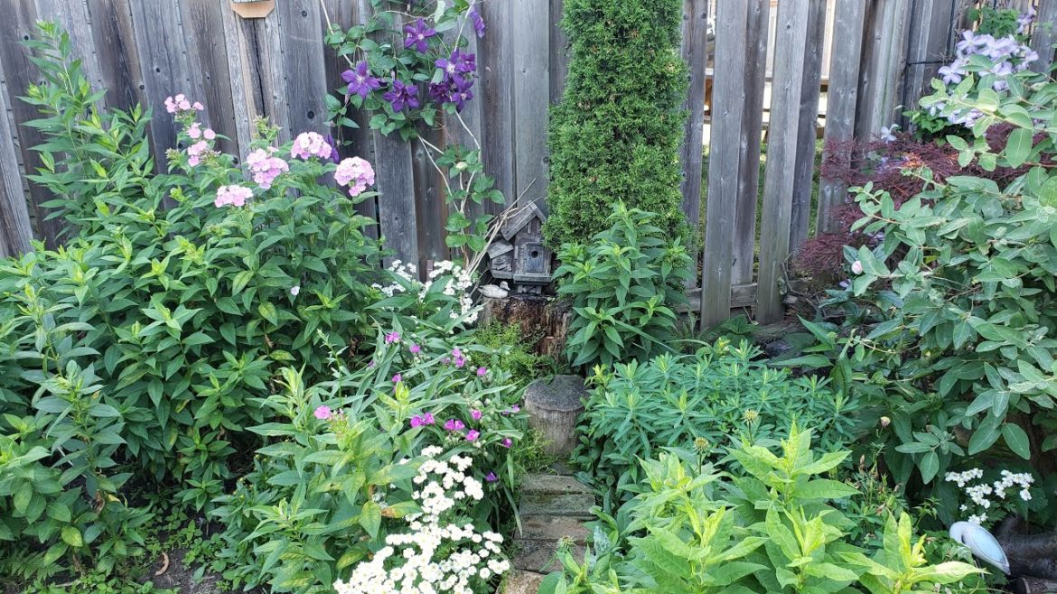 Floral Garden Design Ideas