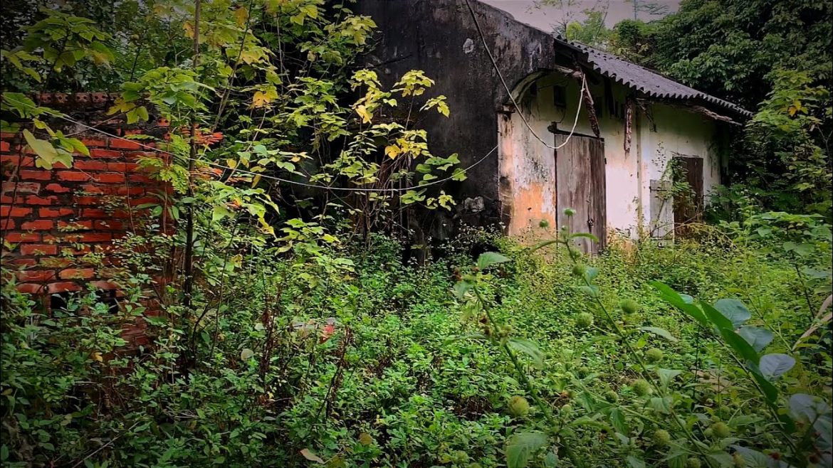 SHOCKED at the miraculous transformation in the front yard of the 200_year_old house