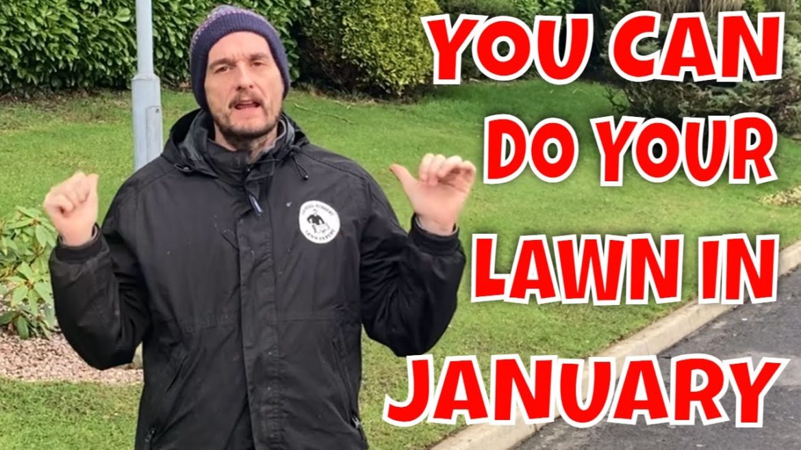 2023 START Turning Your UGLY Lawn Into a BEAUTIFUL One 2023 START Turning Your UGLY Lawn Into a BEAUTIFUL One