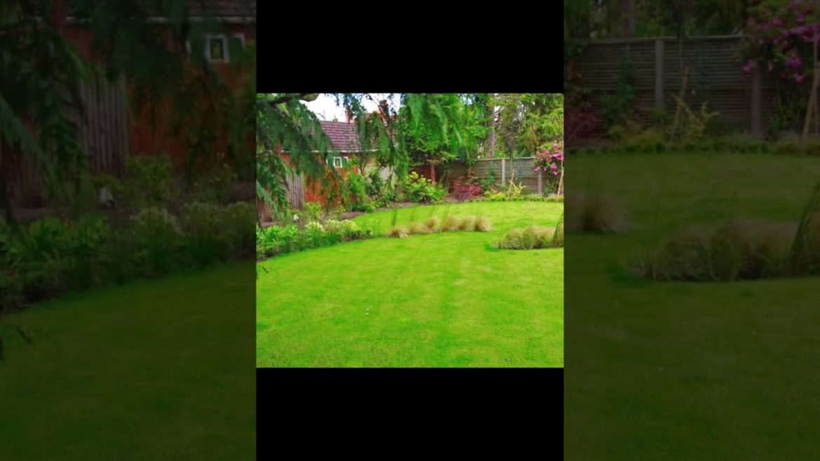 Garden Outdoor Design - Garden Ideas for Landscaping #shorts