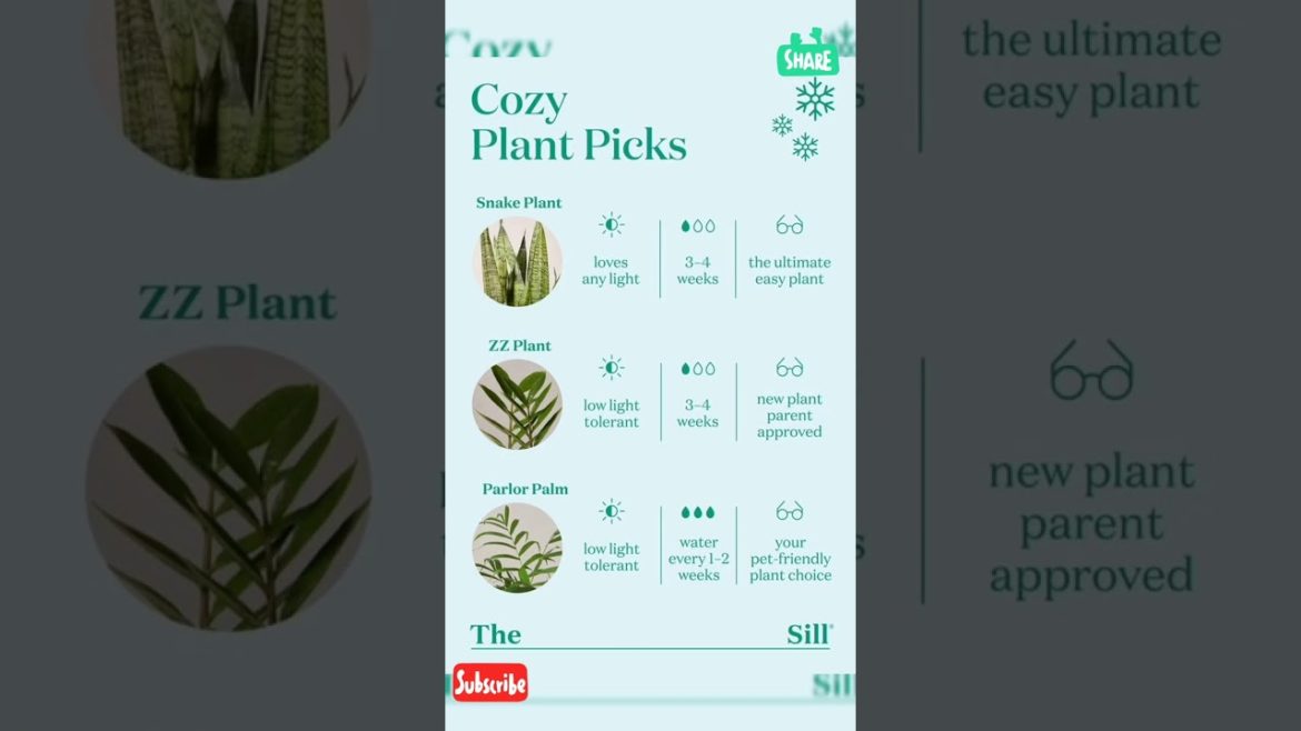 Benefits Of Indoor Plants #plants #viral #shorts #health