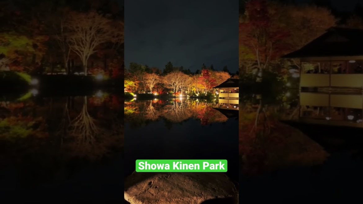 Japanese Garden’s Night Walk